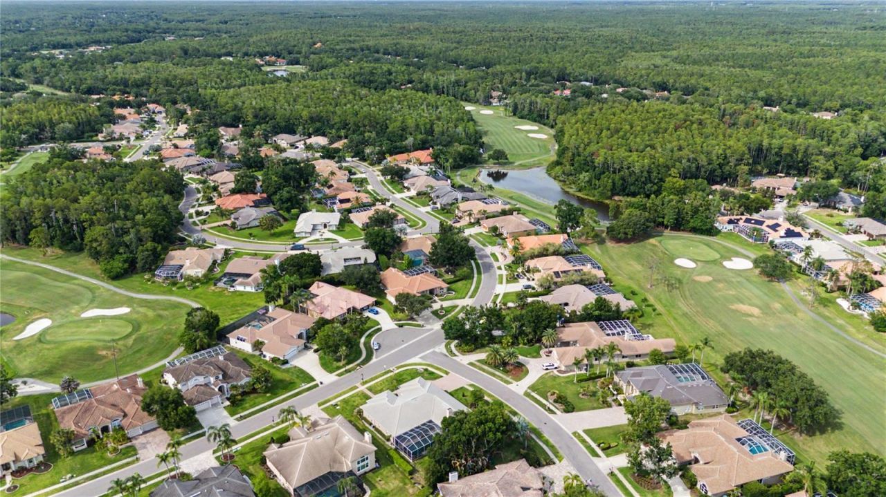1319 Forestedge Boulevard, Oldsmar, FL 34677 Photo