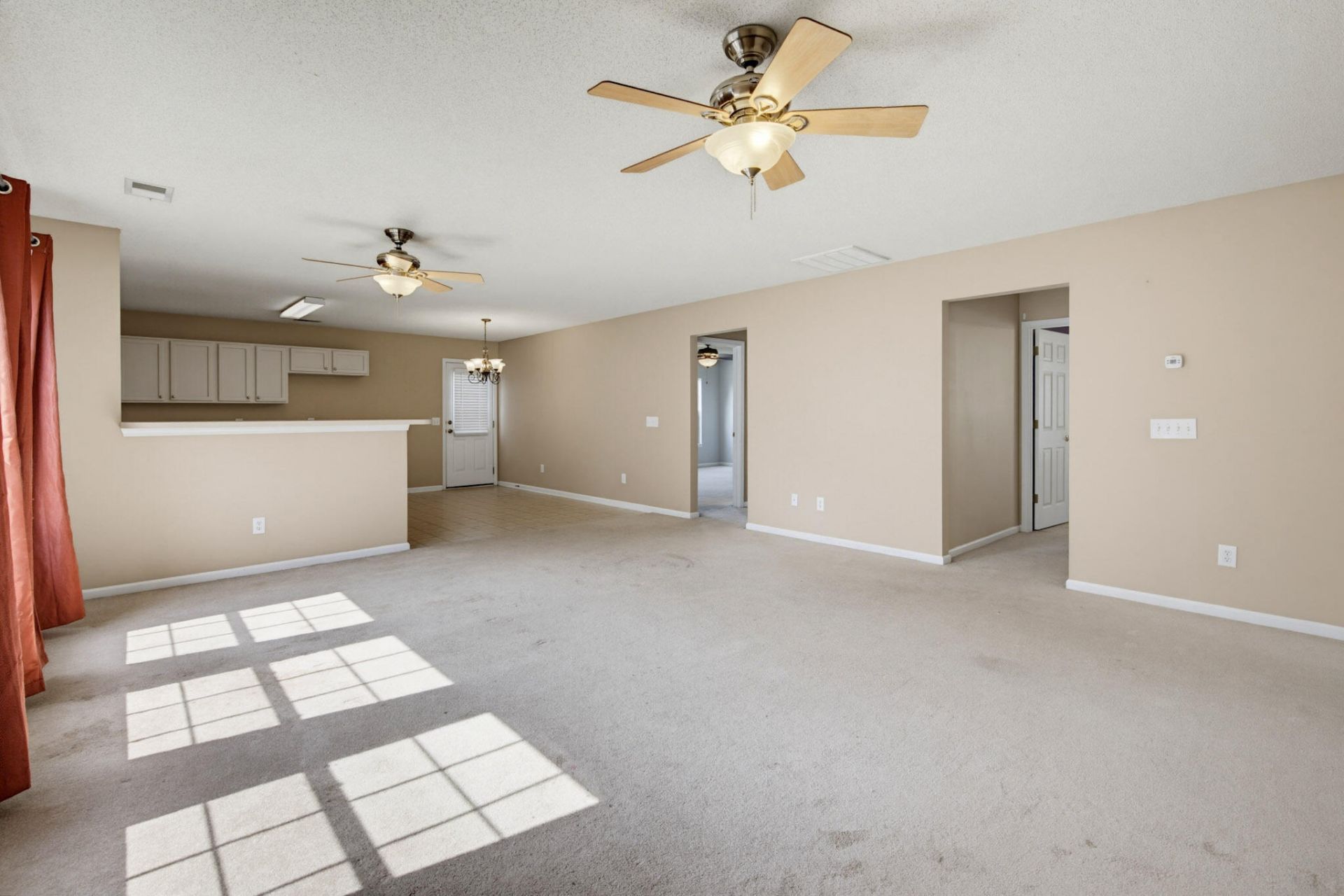 1017 Golden Aspen Drive Photo 19