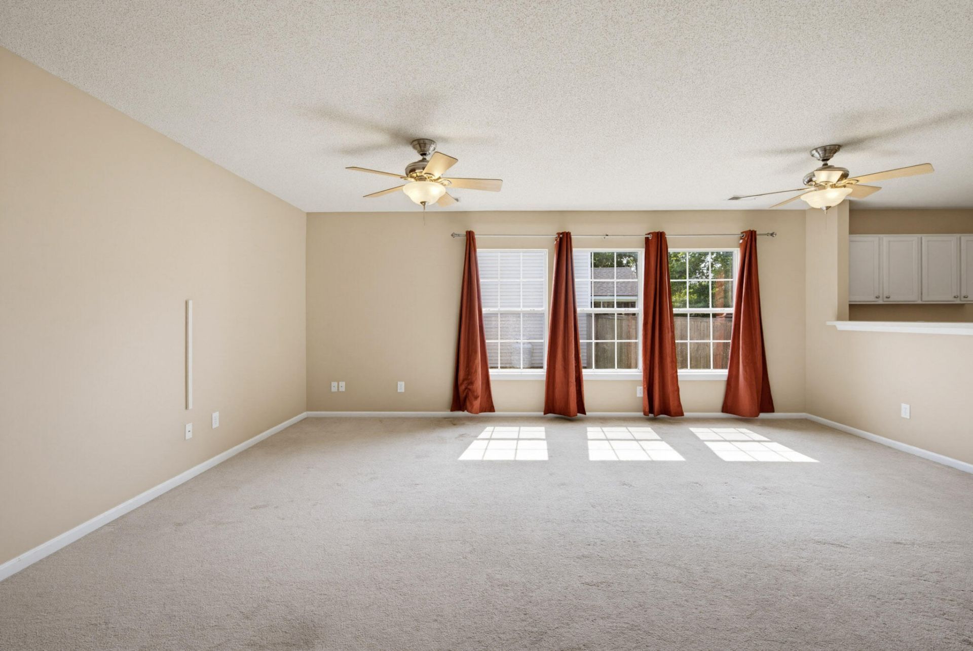 1017 Golden Aspen Drive Photo 20