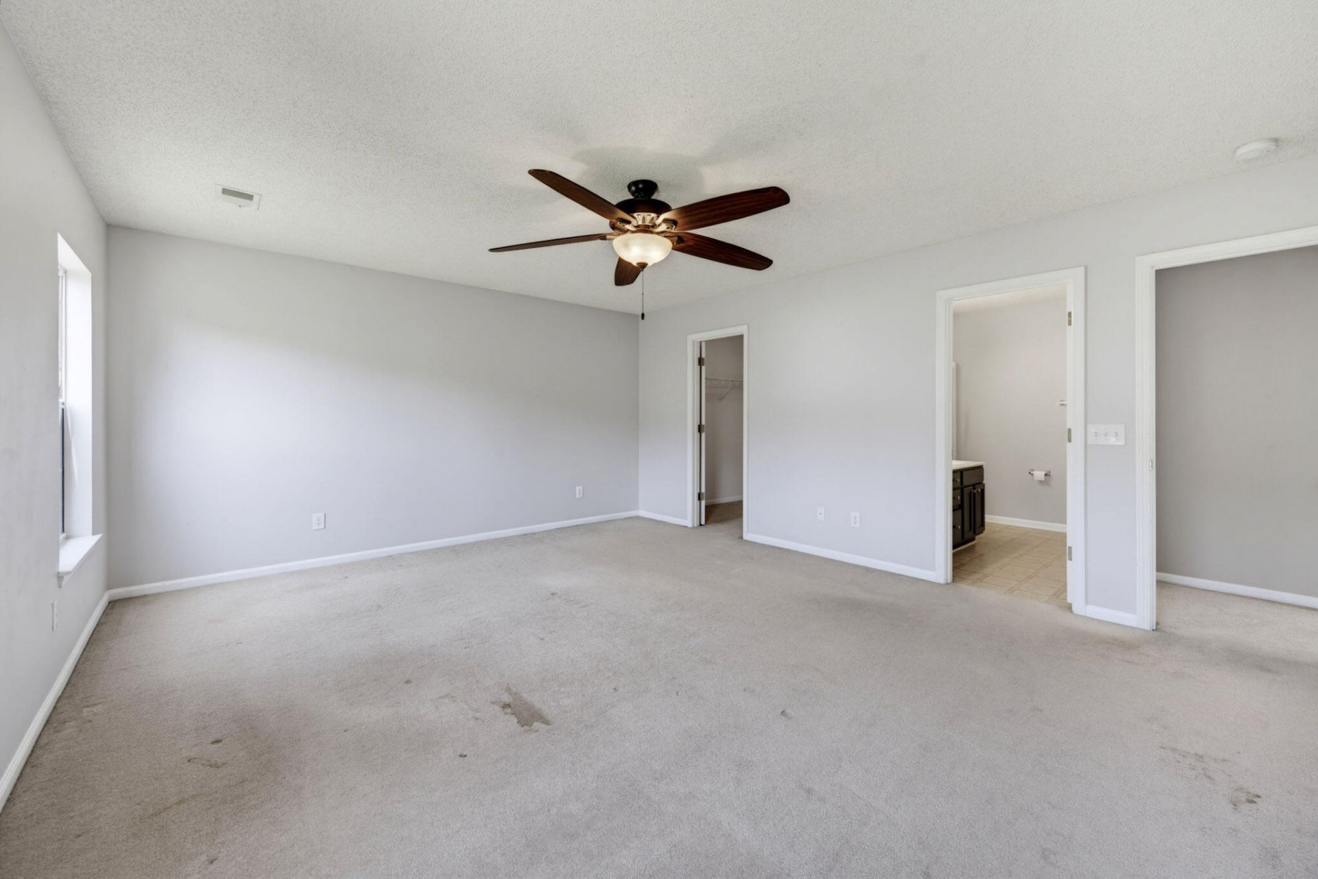 1017 Golden Aspen Drive Photo 29