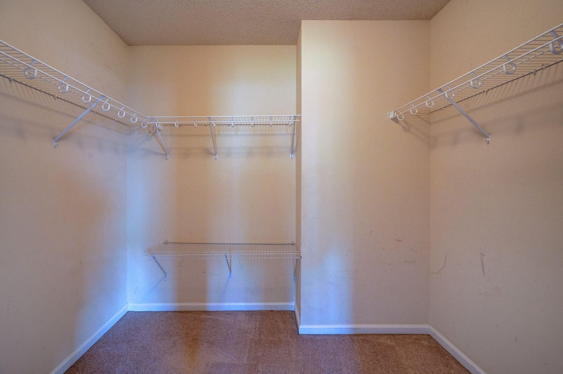 1017 Golden Aspen Drive Photo 34