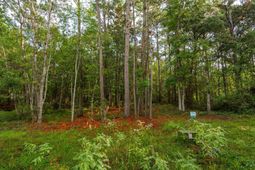 736 Wilson Cemetery Road photo 4
