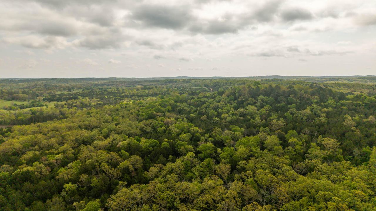 4 Little Woods Road, Elizabeth, AR 72531 Main Photo