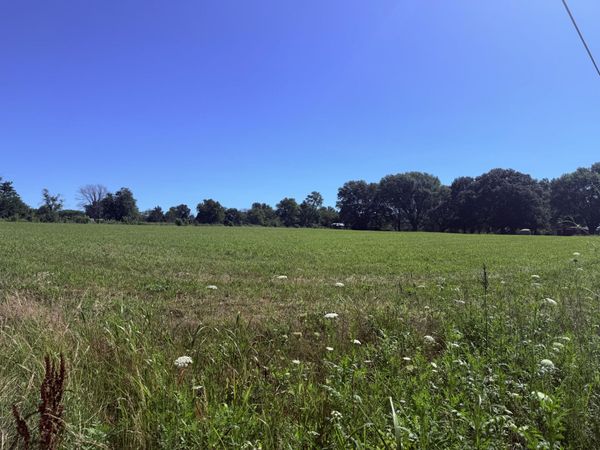 Tbd N Maple Street , Dadeville, MO 65635