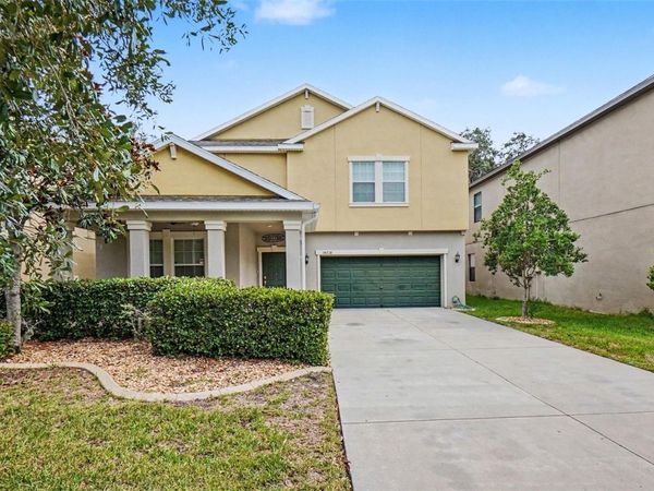 14218 BLUE DASHER DRIVE , RIVERVIEW, FL 33569