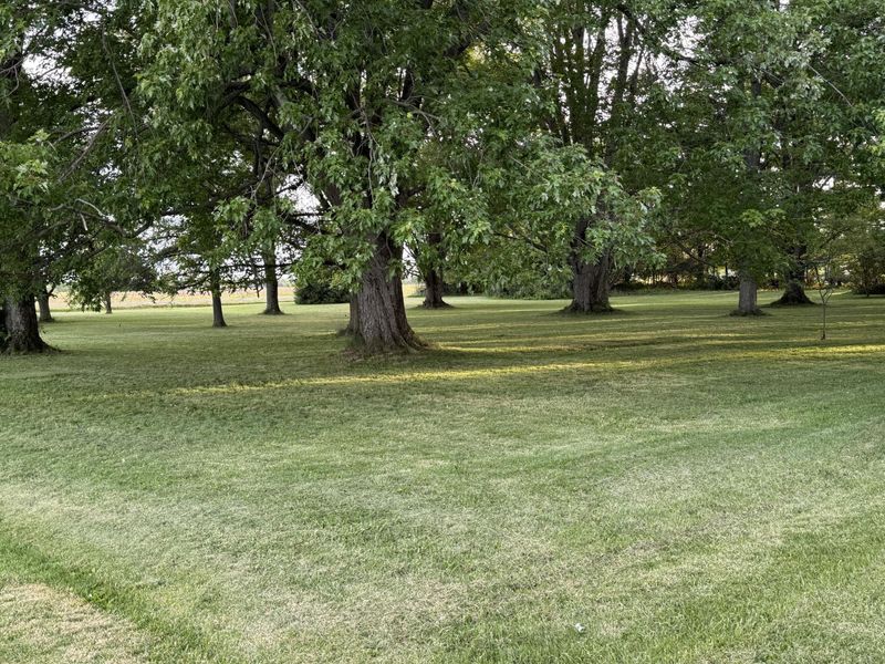 12029 Dutton Road, Rockford, OH 45882 Photo 3