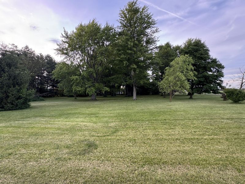 12029 Dutton Road, Rockford, OH 45882 Photo 5
