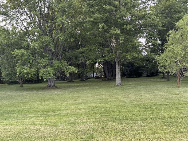 12029 Dutton Road, Rockford, OH 45882 Photo 6