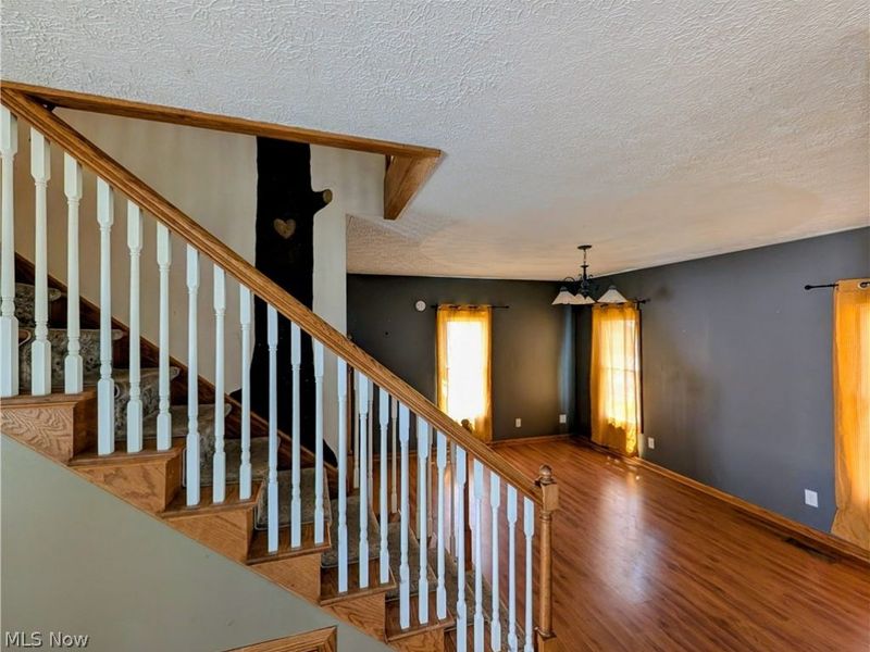 222 Bridge Street, Malvern, OH 44644 Photo 4