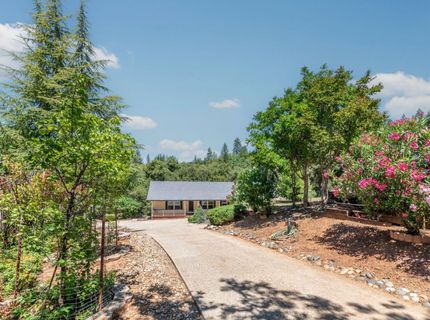 14110 Steven Ln, Pine Grove, CA 95665 Photo
