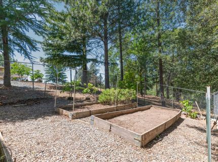 14110 Steven Ln, Pine Grove, CA 95665 Photo