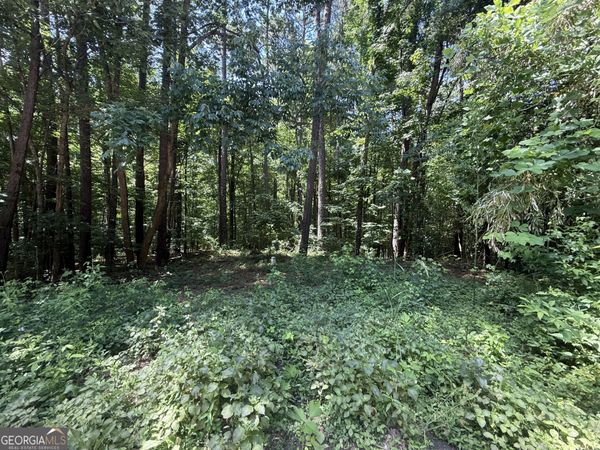 0 Heron Court, Monticello, GA 31064