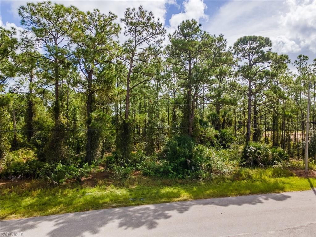 231 Thornton Ave S, Lehigh Acres, FL 33974 Photo