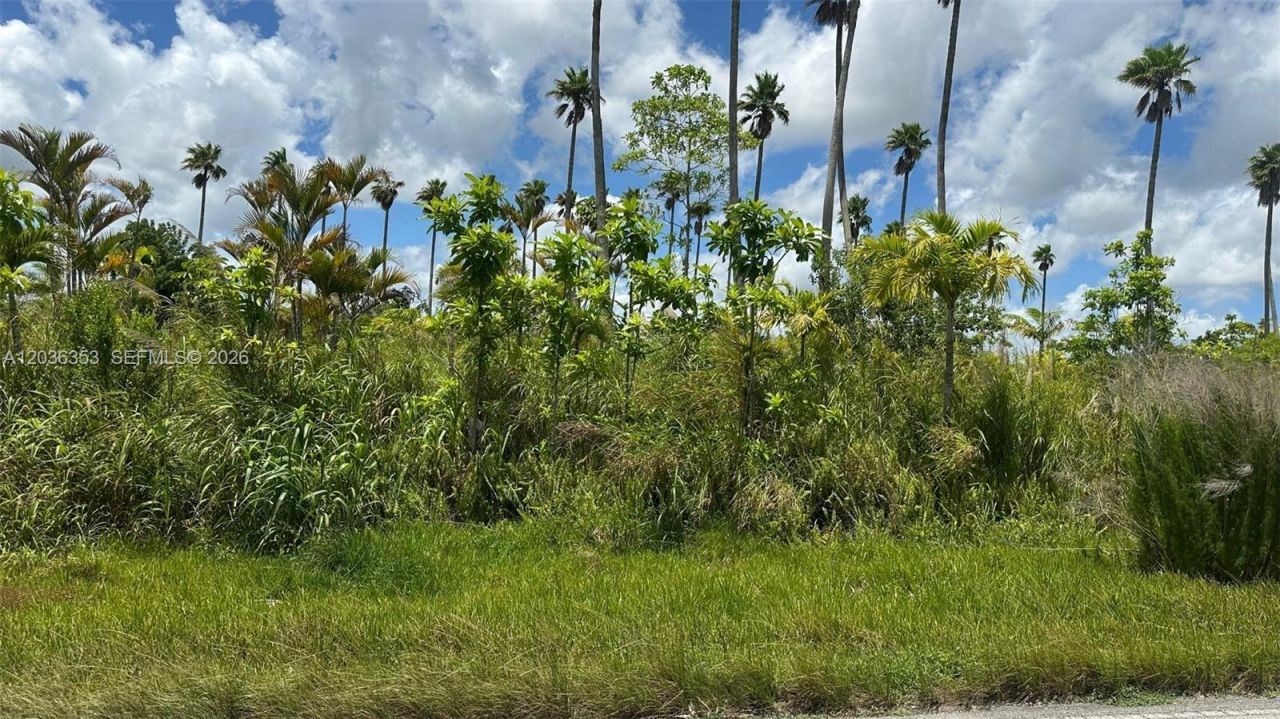 154xx SW 264 St , Homestead, FL 33032 Photo