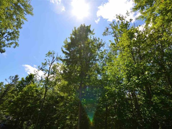 8294 Ridgeway Road, Petoskey, MI 49770