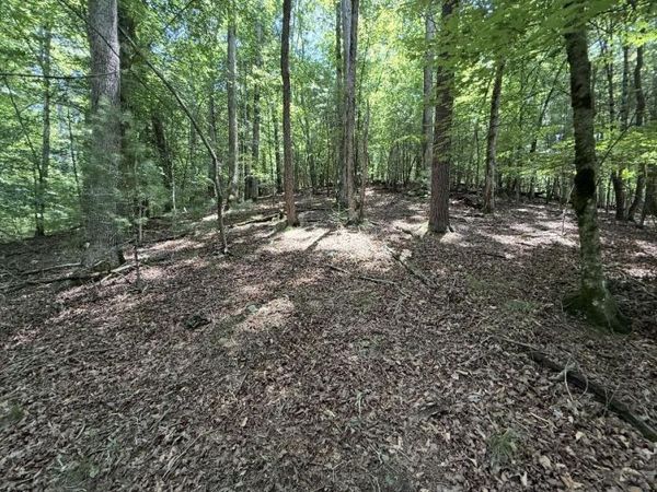 Lot 2607 Magnet Court, Ellijay, GA 30540