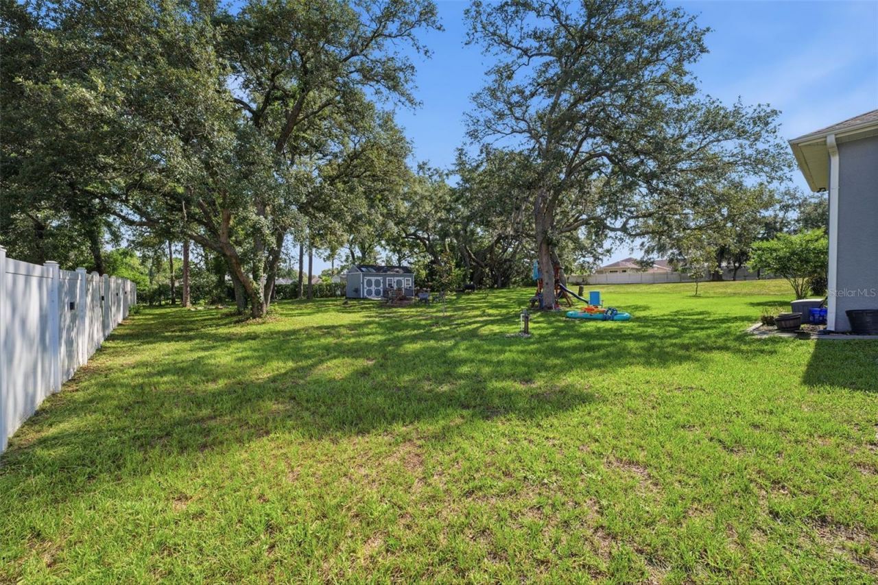 12041 Sapphire Drive, Spring Hill, FL 34609 Photo