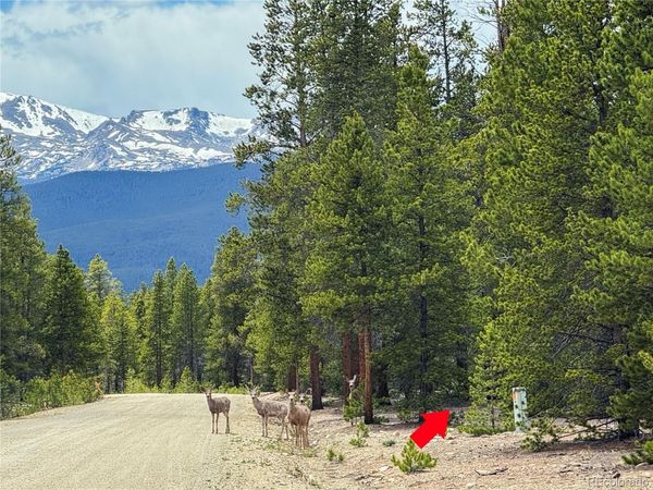 201 Snowshoe Rabbit Drive , Leadville, CO 80461