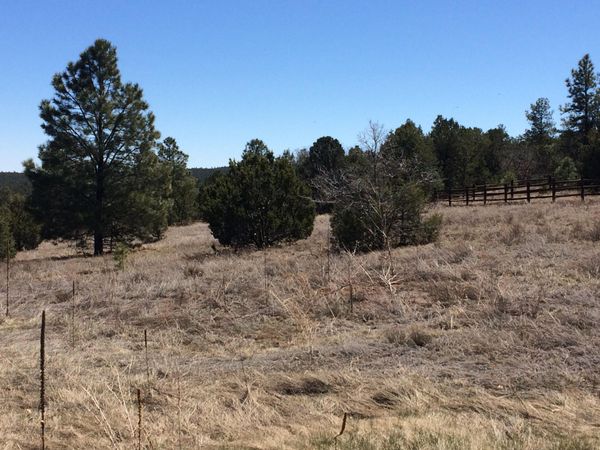 10 WOODLAND Court , Tijeras, NM 87059