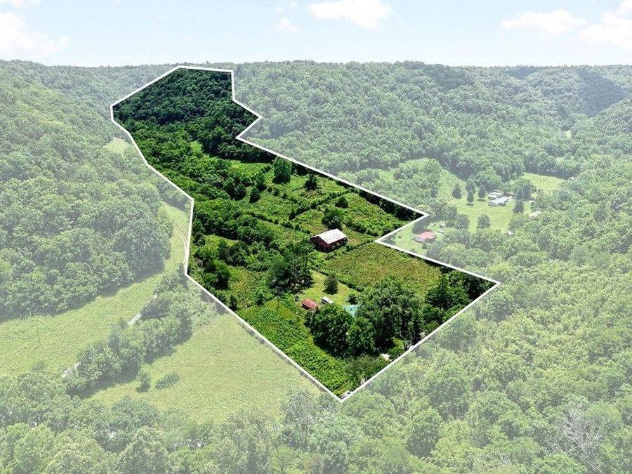 Property Image 5