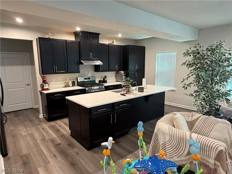 6227 Krystina Run, Lorain, OH 44053 Photo 7