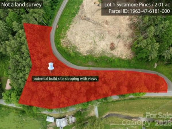 TBD Sycamore Road , Vilas, NC 28692
