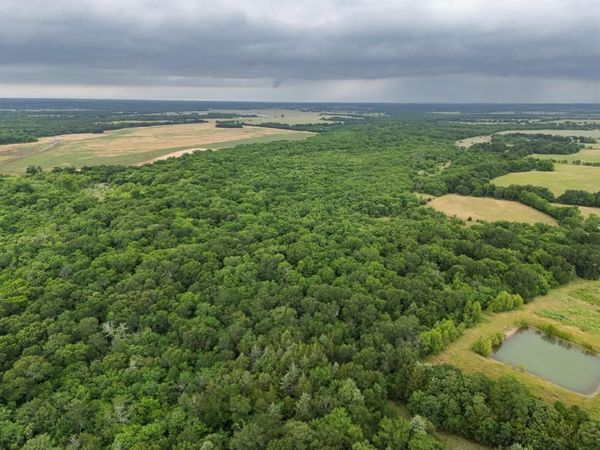 Tract 9 County Road 2158 , Cooper, TX 75432