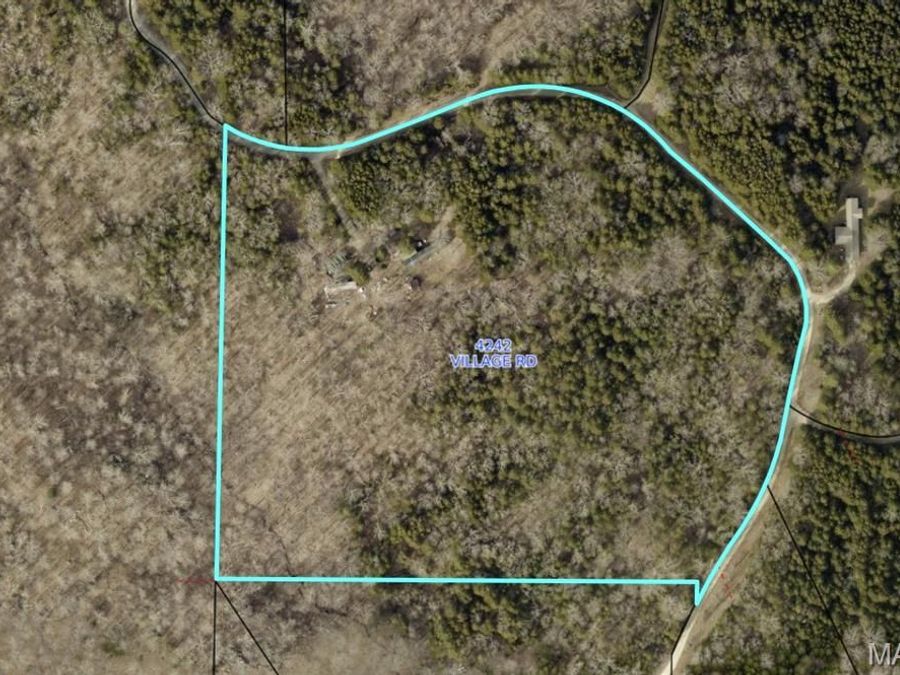 Property Image 4