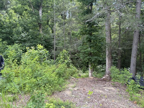 2708 Dayne Drive, Sevierville, TN 37876