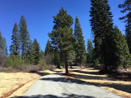 22281 Back Bone Rd, Nevada City, CA 95959 Photo