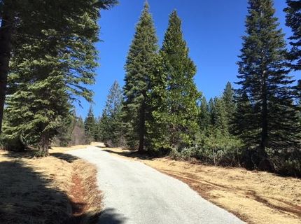 22281 Back Bone Rd, Nevada City, CA 95959 Photo