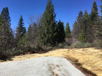 22281 Back Bone Rd, Nevada City, CA 95959 Photo