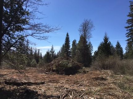 22281 Back Bone Rd, Nevada City, CA 95959 Photo