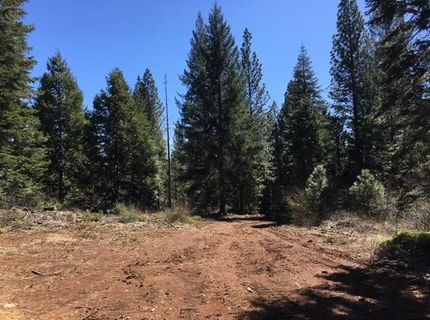 22281 Back Bone Rd, Nevada City, CA 95959 Photo