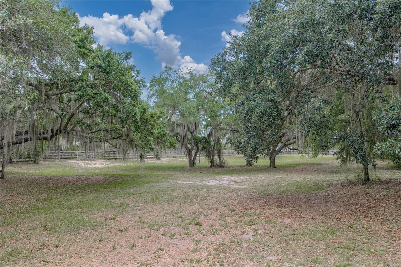 914 Mangham Road , Babson Park, FL 33827 Photo