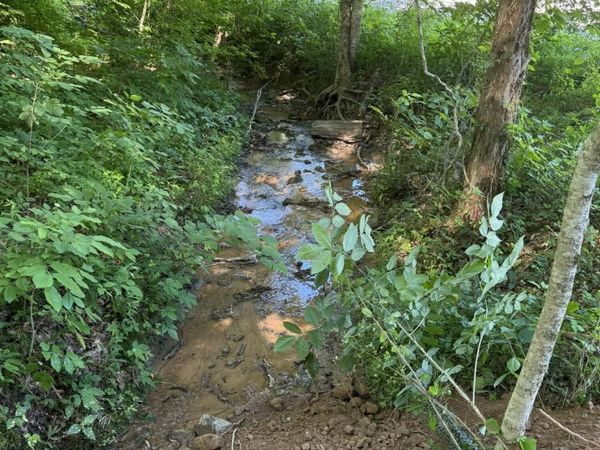 Tower Rd, Tazewell, TN 37879