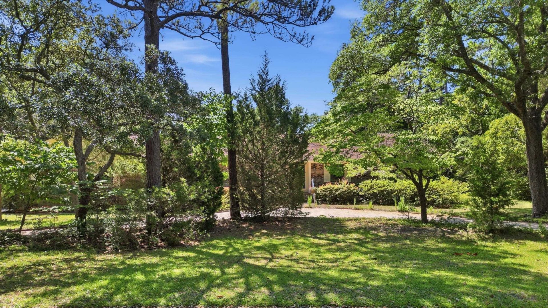 241 Center Dr.  Photo 24