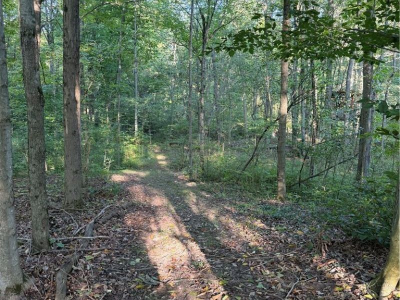 18821 Munn Road, Auburn, OH 44023 Photo 38