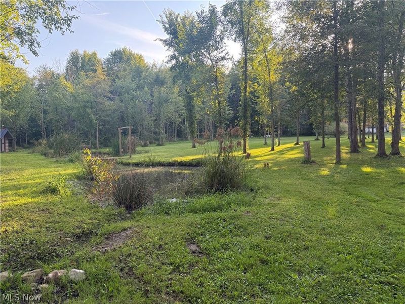 18821 Munn Road, Auburn, OH 44023 Photo 39