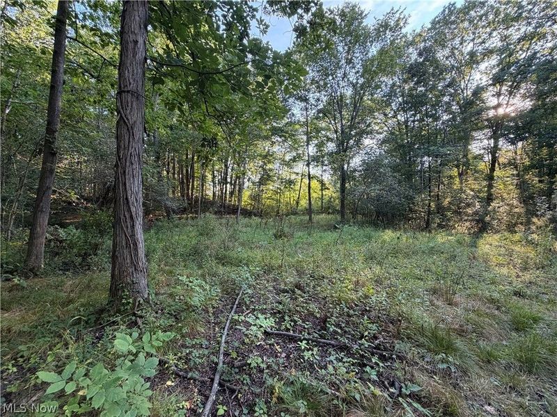 18821 Munn Road, Auburn, OH 44023 Photo 40
