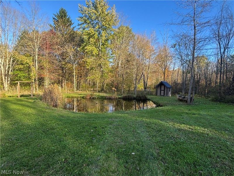 18821 Munn Road, Auburn, OH 44023 Photo 50