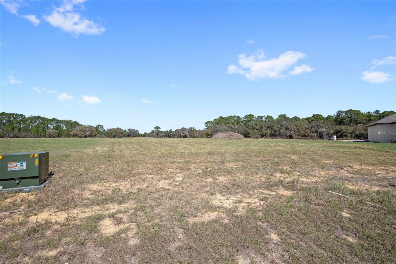 38361 Lake Meadow Court, Umatilla, FL 32784 Photo