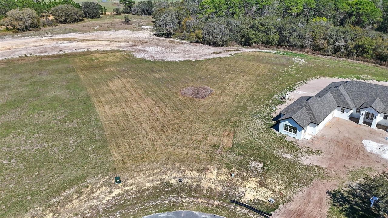 38361 Lake Meadow Court, Umatilla, FL 32784 Photo