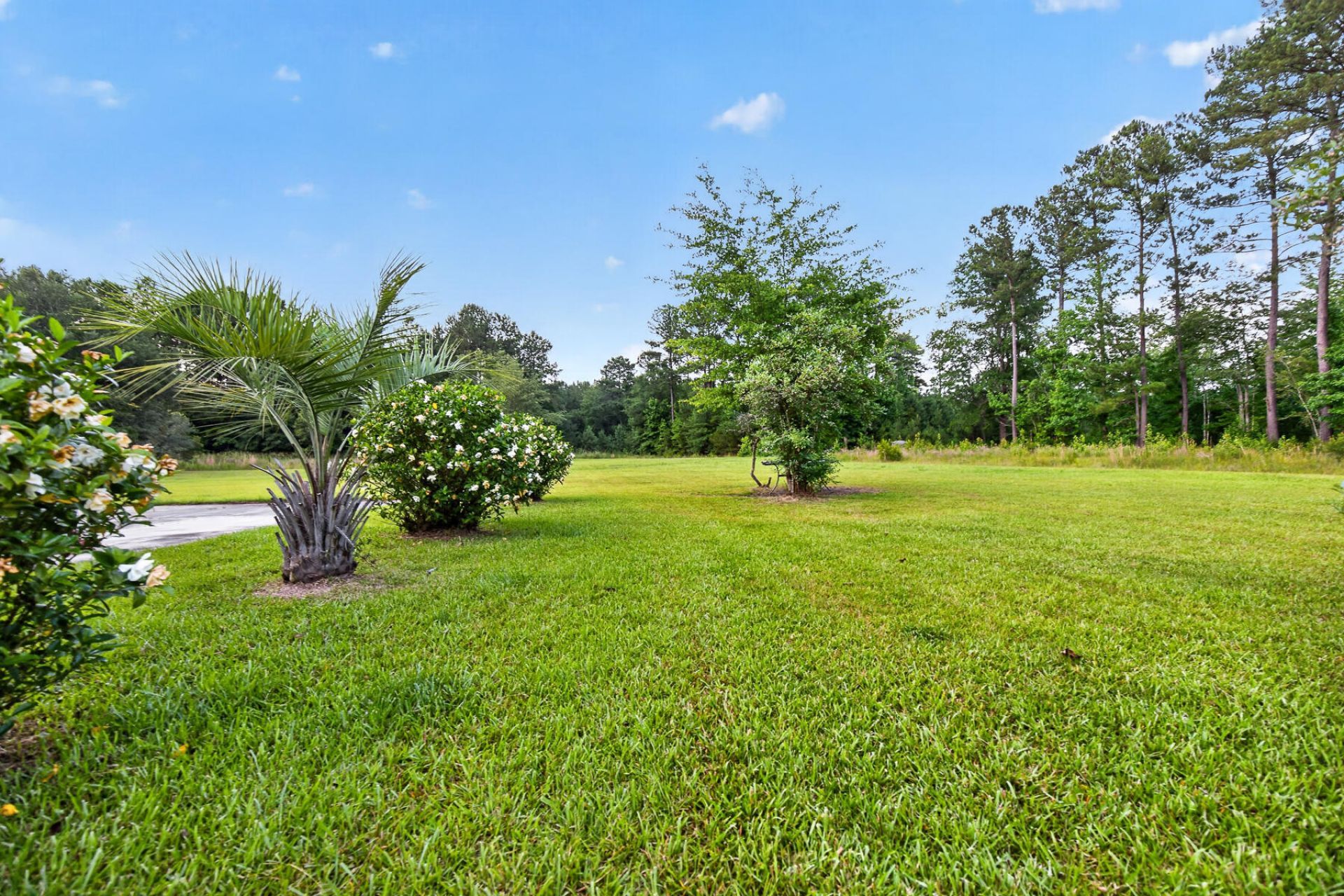9166 Jefferies Highway Photo 61