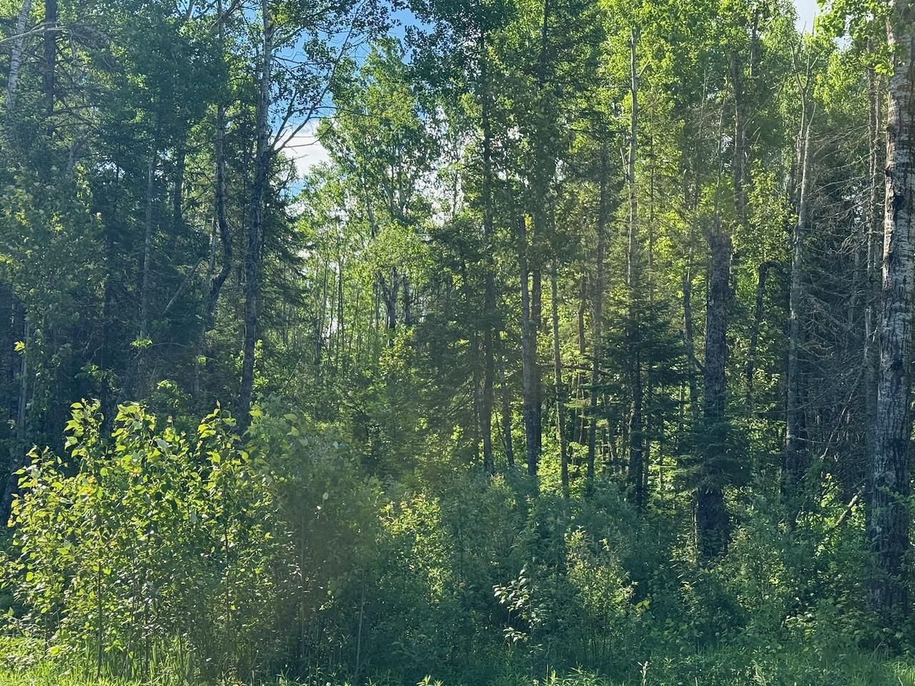 1576 County Road 8, Holyoke, MN 55749