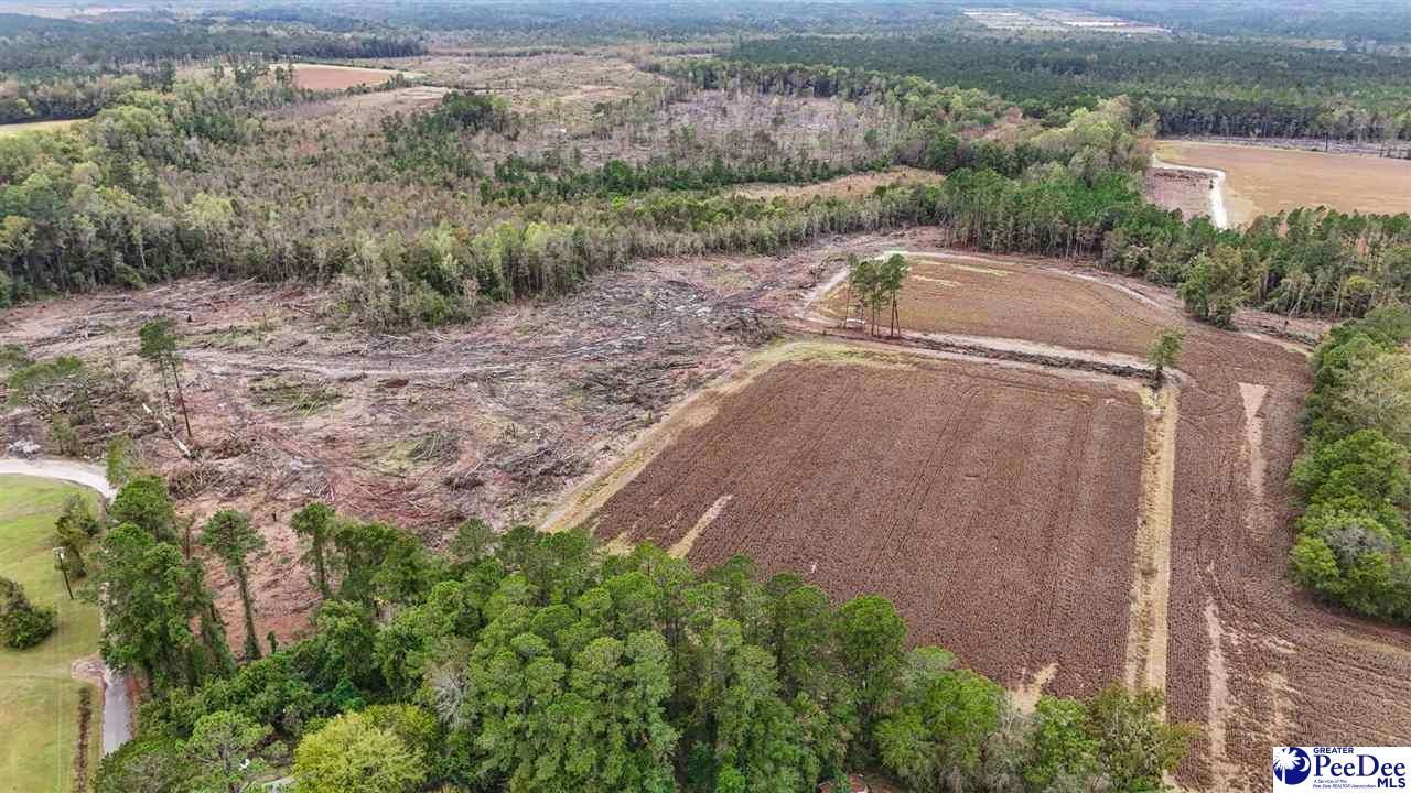 Tbd Francis Gibson Rd Photo 11