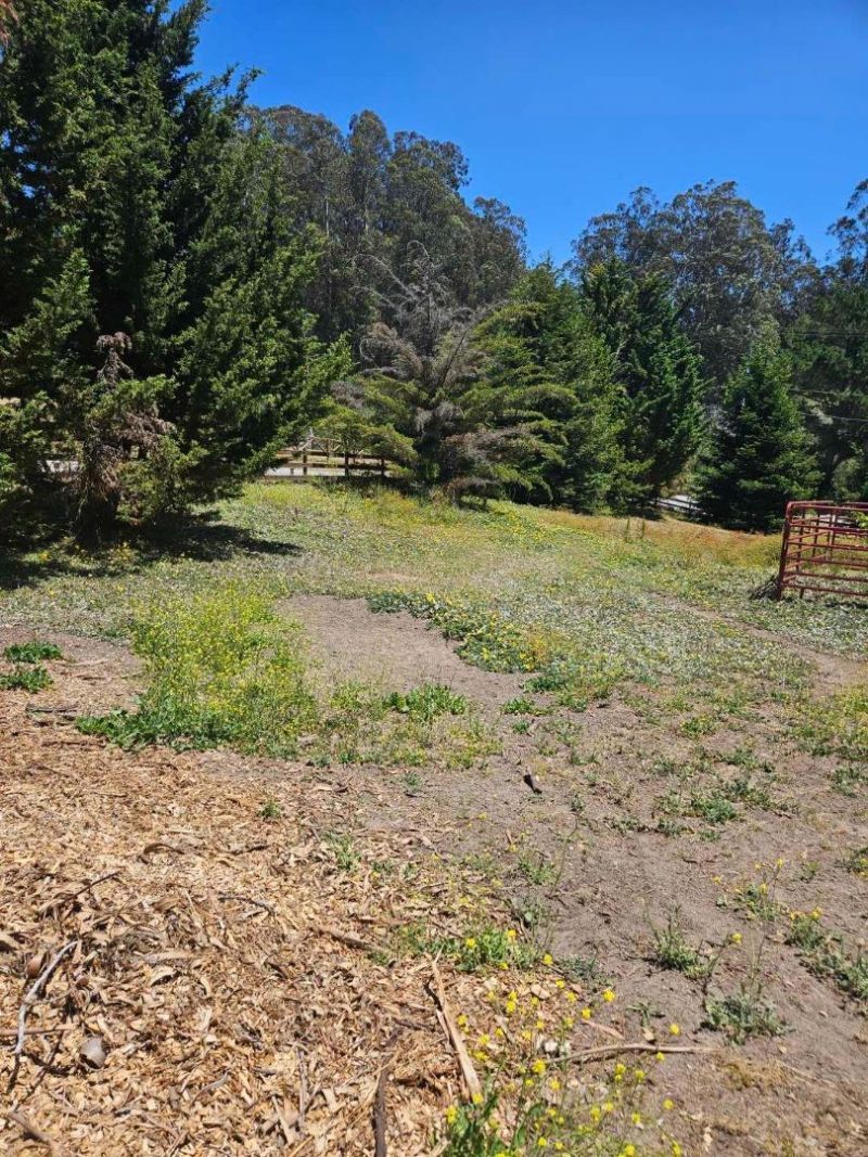 603 Carpenteria Road, Aromas, CA 95004 Main Photo