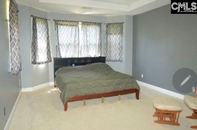 117 Settlers Ct  Photo 14