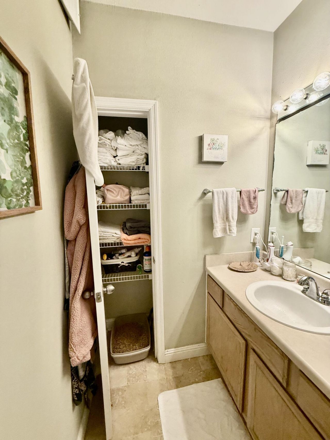 700 Daniel Ellis Drive Photo 10