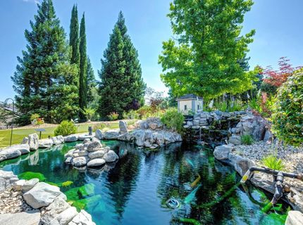 525 Pine Valley Ct, Valley Springs, CA 95252 Photo